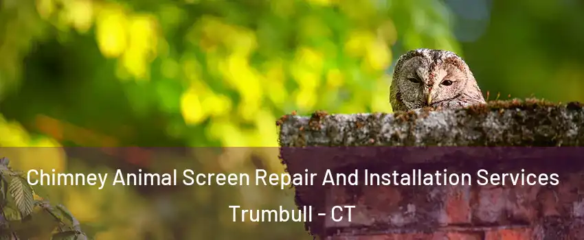  Chimney Animal Screen Repair And Installation Services Trumbull - CT