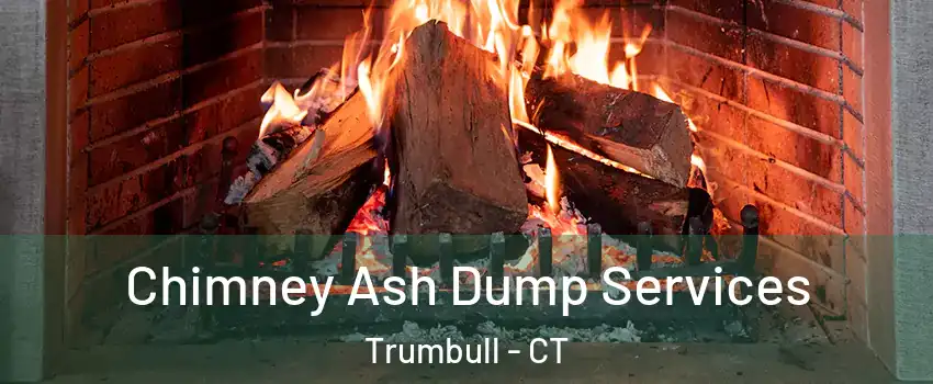  Chimney Ash Dump Services Trumbull - CT