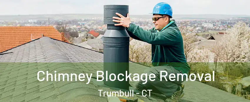  Chimney Blockage Removal Trumbull - CT