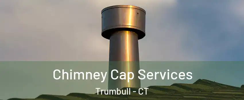  Chimney Cap Services Trumbull - CT