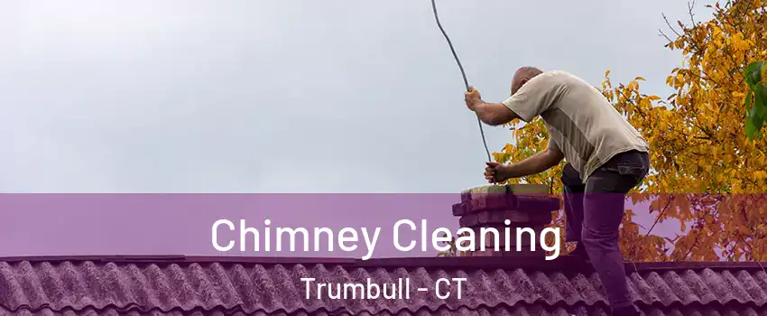  Chimney Cleaning Trumbull - CT