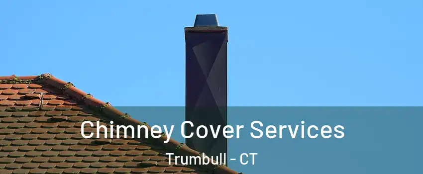  Chimney Cover Services Trumbull - CT