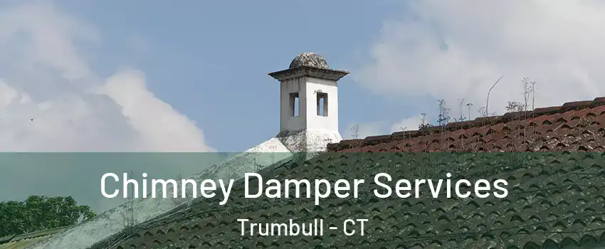  Chimney Damper Services Trumbull - CT
