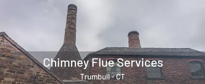  Chimney Flue Services Trumbull - CT