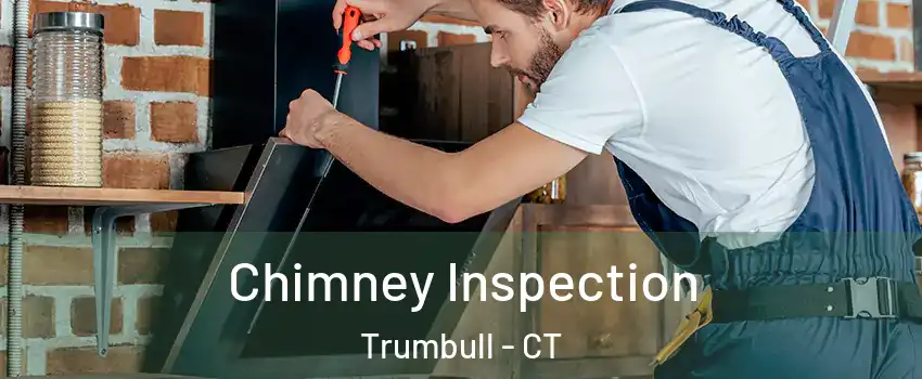  Chimney Inspection Trumbull - CT