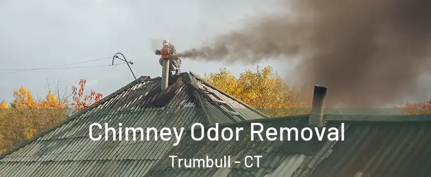  Chimney Odor Removal Trumbull - CT