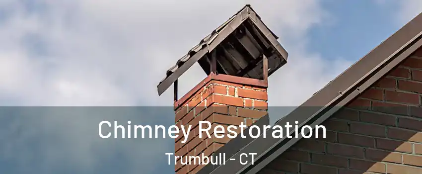  Chimney Restoration Trumbull - CT