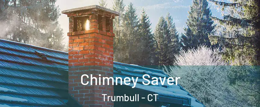  Chimney Saver Trumbull - CT