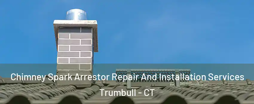  Chimney Spark Arrestor Repair And Installation Services Trumbull - CT