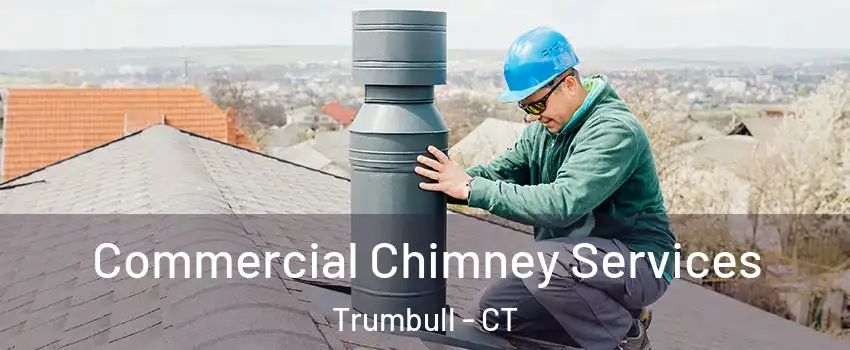  Commercial Chimney Services Trumbull - CT