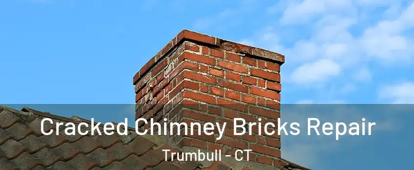  Cracked Chimney Bricks Repair Trumbull - CT