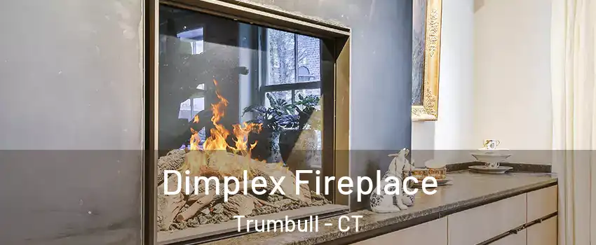  Dimplex Fireplace Trumbull - CT