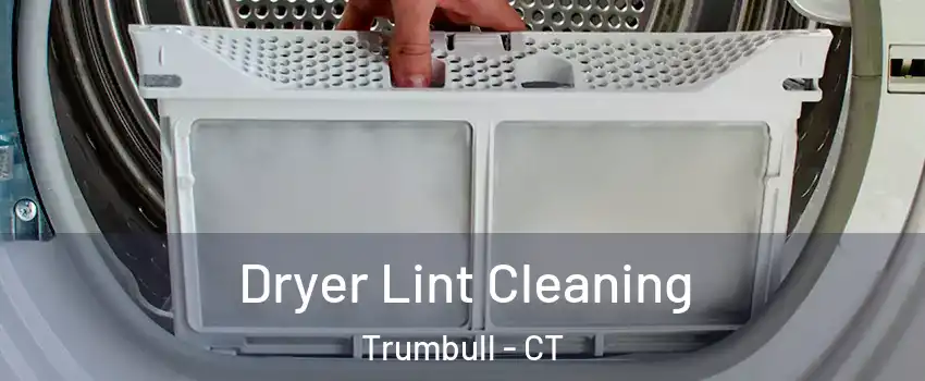  Dryer Lint Cleaning Trumbull - CT