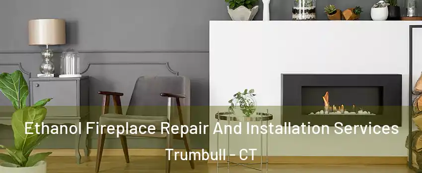  Ethanol Fireplace Repair And Installation Services Trumbull - CT
