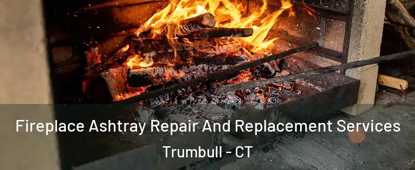  Fireplace Ashtray Repair And Replacement Services Trumbull - CT