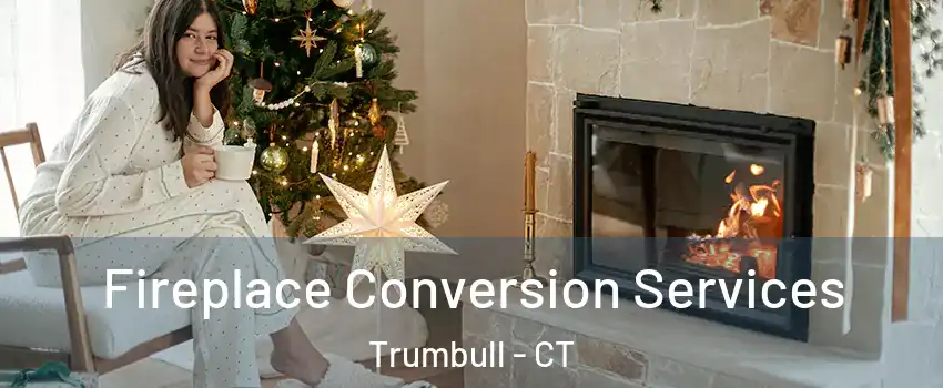  Fireplace Conversion Services Trumbull - CT