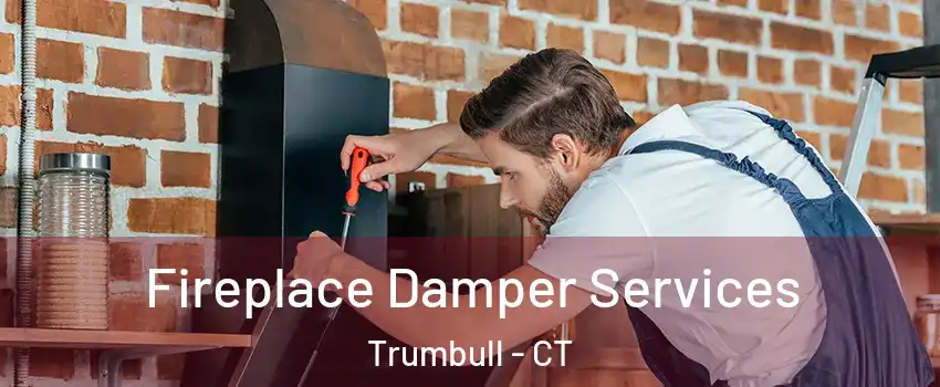  Fireplace Damper Services Trumbull - CT
