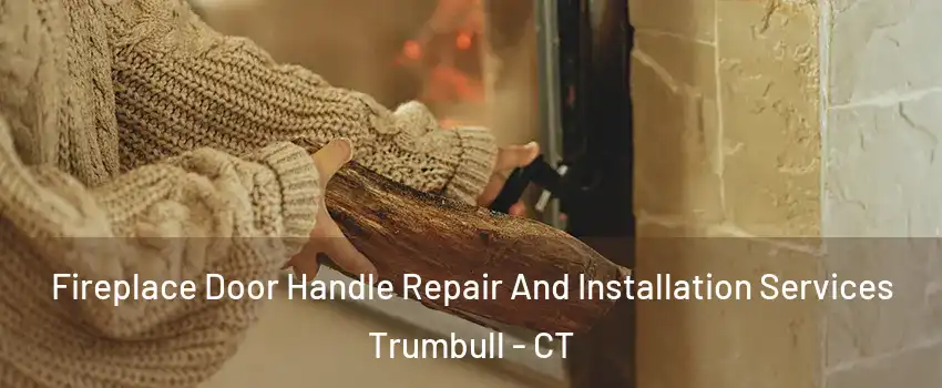  Fireplace Door Handle Repair And Installation Services Trumbull - CT
