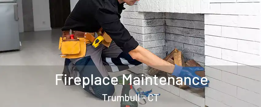  Fireplace Maintenance Trumbull - CT