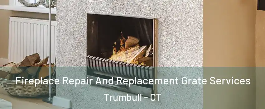  Fireplace Repair And Replacement Grate Services Trumbull - CT