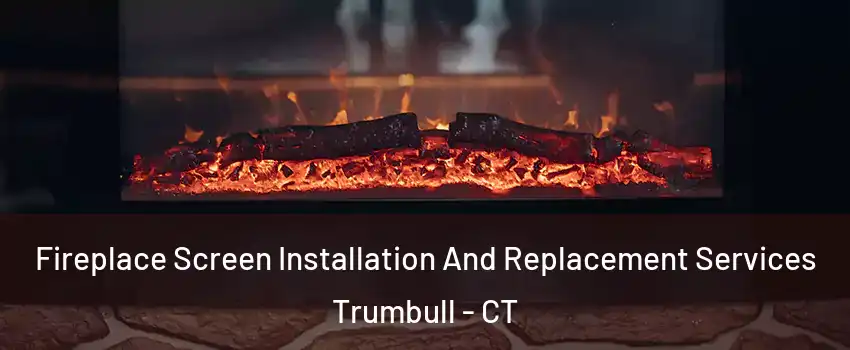  Fireplace Screen Installation And Replacement Services Trumbull - CT