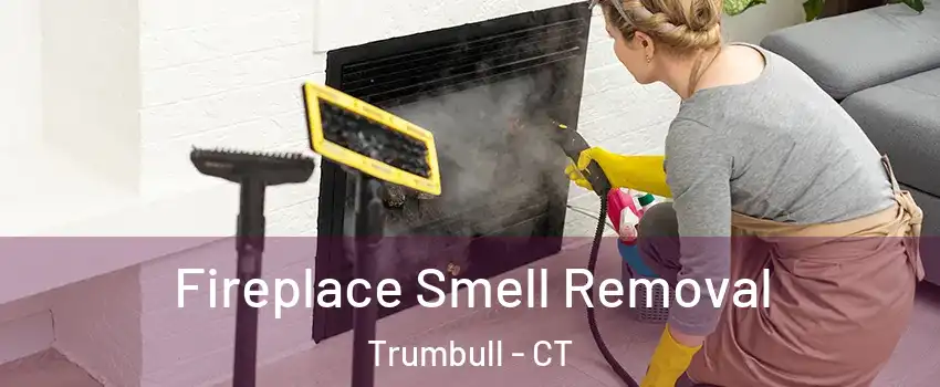  Fireplace Smell Removal Trumbull - CT