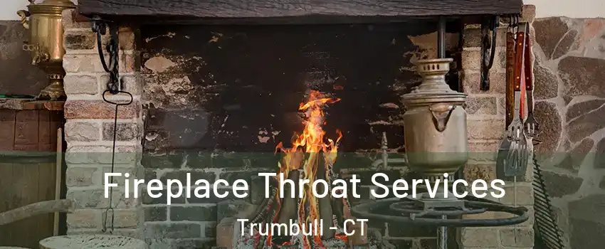  Fireplace Throat Services Trumbull - CT