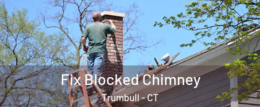  Fix Blocked Chimney Trumbull - CT