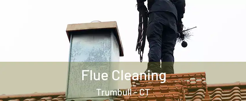  Flue Cleaning Trumbull - CT