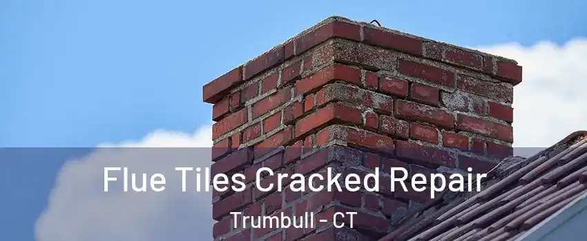  Flue Tiles Cracked Repair Trumbull - CT