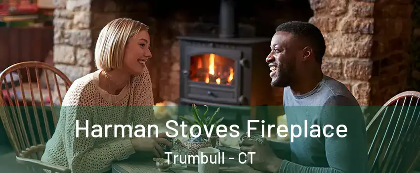  Harman Stoves Fireplace Trumbull - CT