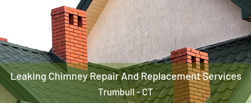  Leaking Chimney Repair And Replacement Services Trumbull - CT