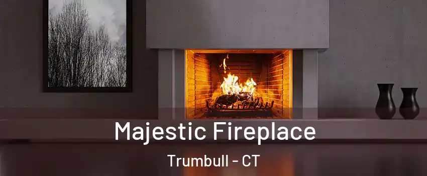 Majestic Fireplace Trumbull - CT