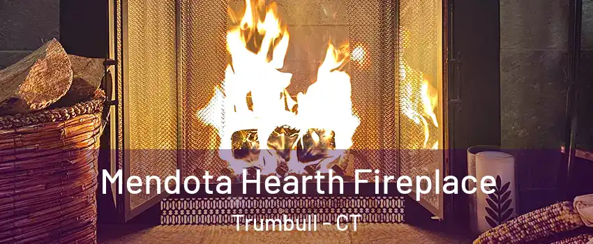  Mendota Hearth Fireplace Trumbull - CT
