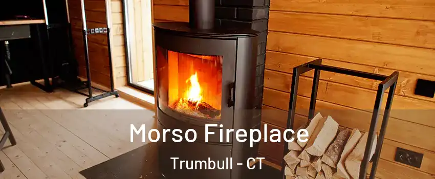  Morso Fireplace Trumbull - CT