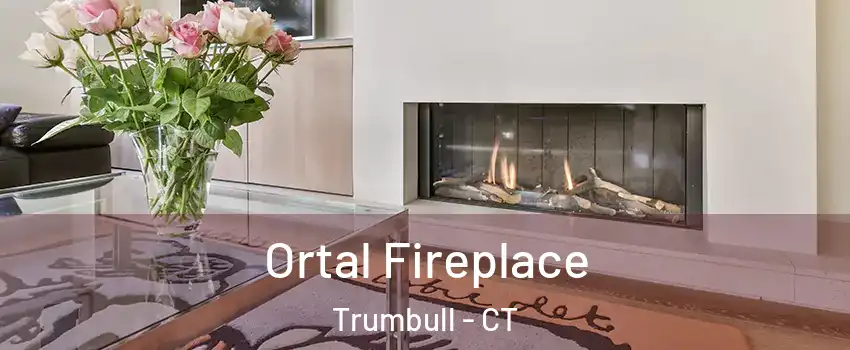  Ortal Fireplace Trumbull - CT