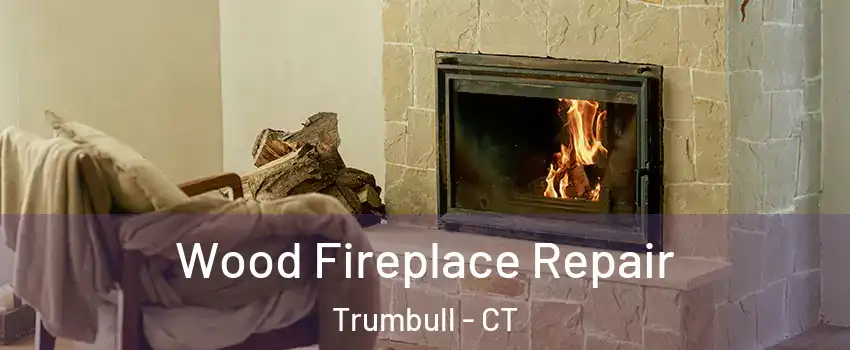 Wood Fireplace Repair Trumbull - CT