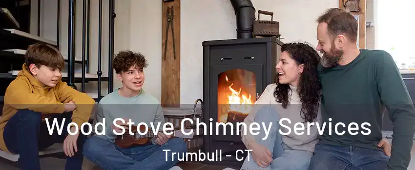  Wood Stove Chimney Services Trumbull - CT