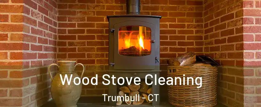  Wood Stove Cleaning Trumbull - CT